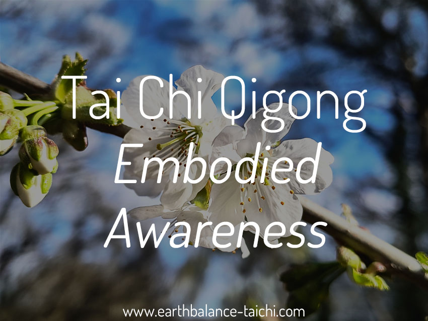Tai Chi and Qigong Embodied Awareness