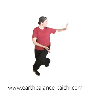 Tai Chi Instructor